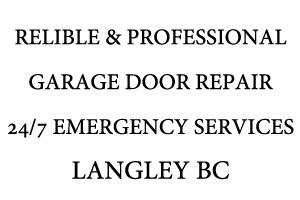 professional door repair services